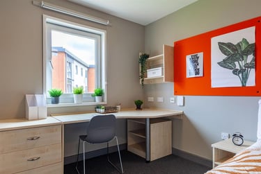1 bed flat, Boston Street, Highfield, Sheffield, S24QG - Image 3